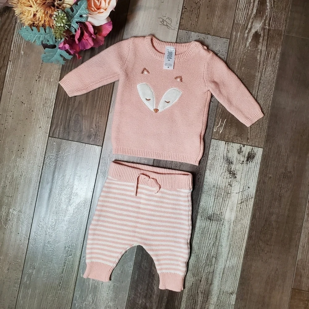 Carter's Matching Pink and White Fox 2 Pc Set Striped Pants 3 Months 3M NWOT